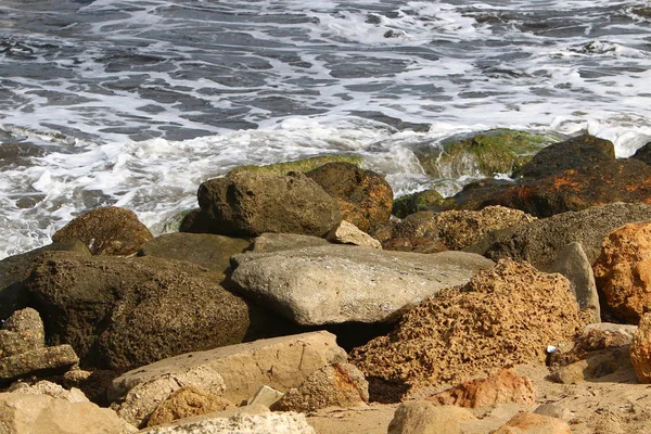 Stenen Liggen Een Park Aan Oevers Van Middellandse Zee Het — Stockfoto