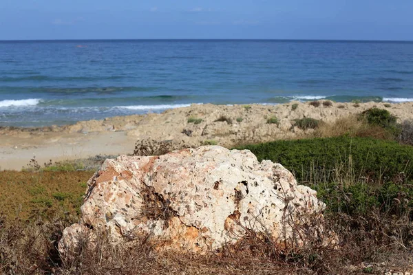 Stenarna Ligger Park Vid Medelhavets Strand Norra Delen Staten Israel — Stockfoto