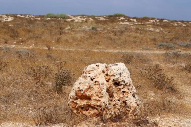 taşlar İsrail devletinin kuzeyinde Akdeniz kıyısında bir parkta yalan 