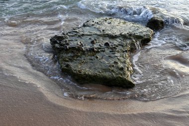 taşlar İsrail devletinin kuzeyinde Akdeniz kıyısında bir parkta yalan 