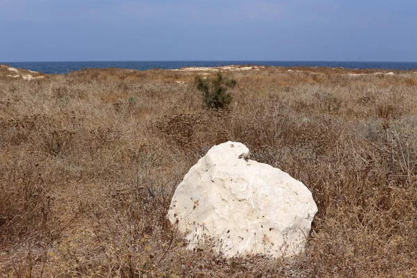 Pietre Trovano Parco Sulle Rive Del Mar Mediterraneo Nel Nord — Foto Stock