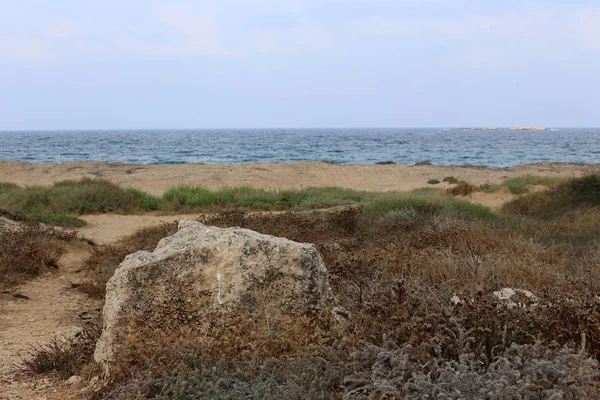 Pierres Trouvent Dans Parc Sur Les Rives Mer Méditerranée Dans — Photo