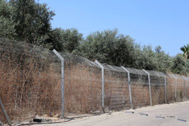 İsrail'in kuzeyinde Akdeniz kıyısında bir parkta çit 