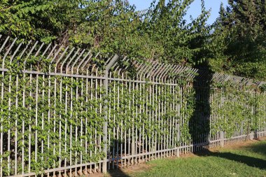 İsrail'in kuzeyinde Akdeniz kıyısında bir parkta çit 