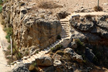 Bir yapının veya yapının merdiven elemanı bir dizi basamaktan oluşur 
