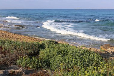 İsrail devletinin kuzeyinde Akdeniz'in ıssız kıyıları 