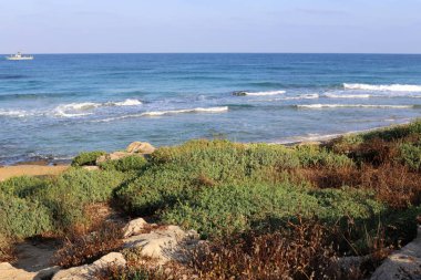 İsrail devletinin kuzeyinde Akdeniz'in ıssız kıyıları 
