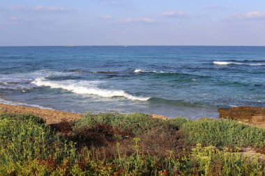 İsrail devletinin kuzeyinde Akdeniz'in ıssız kıyıları 