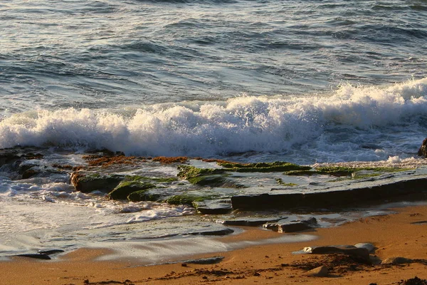 イスラエル国家の北の地中海のさびれた海岸 — ストック写真