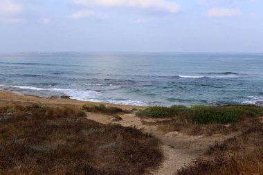 İsrail devletinin kuzeyinde Akdeniz'in ıssız kıyıları 