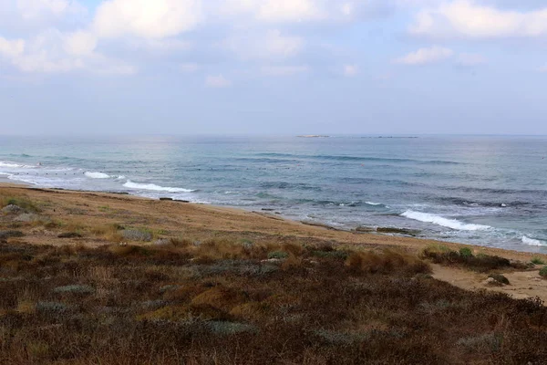 Безлюдне Узбережжя Середземного Моря Півночі Держави Ізраїль — стокове фото