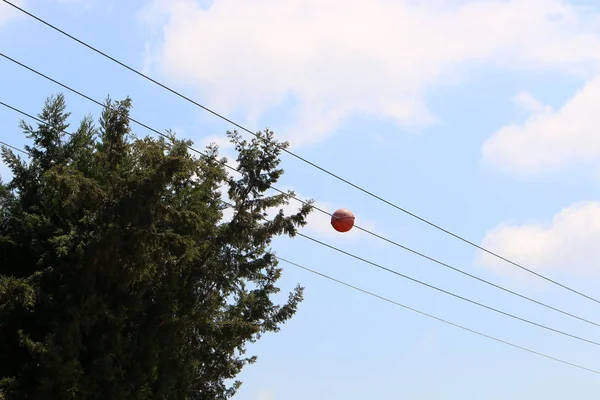 Srail Kuzeyinde Elektrik Akan Bir Kutup Üzerinde Elektrik Telleri — Stok fotoğraf