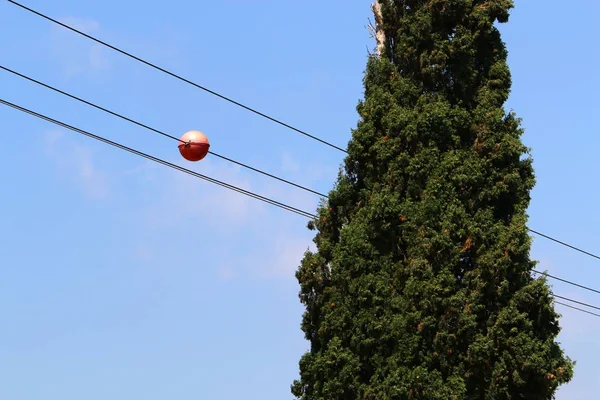 Srail Kuzeyinde Elektrik Akan Bir Kutup Üzerinde Elektrik Telleri — Stok fotoğraf