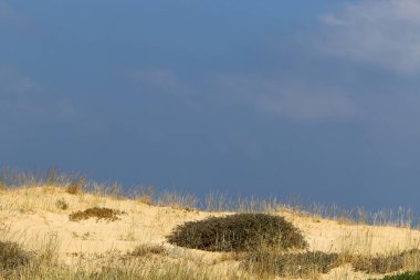 Gök gürültülü sağanak ve gök gürültülü bulutlar İsrail'in kuzeyinde Akdeniz üzerinde gökyüzü boyunca yüzer 