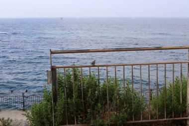 İsrail'in kuzeyinde Akdeniz kıyısında bir parkta çit 