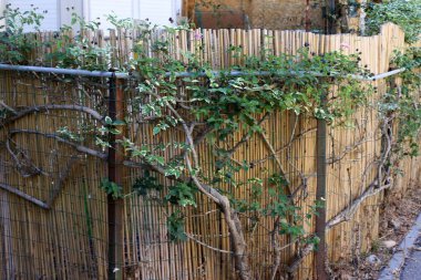 İsrail'in kuzeyinde Akdeniz kıyısında bir parkta çit 