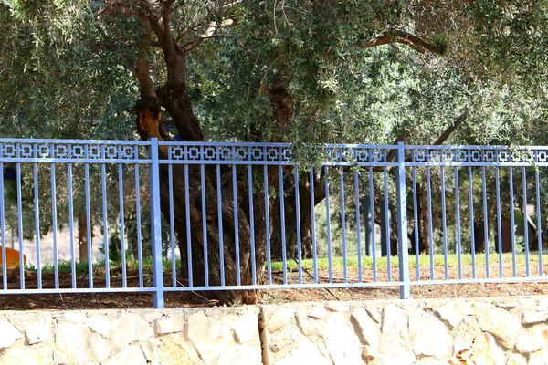 Fence Park Shores Mediterranean Sea North Israel — Stock Photo, Image