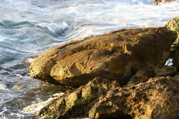 Pietre Conchiglie Sulle Rive Del Mar Mediterraneo Nel Nord Israele — Foto Stock