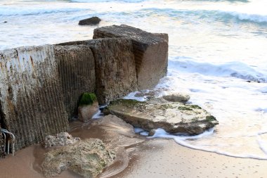 İsrail'in kuzeyinde Akdeniz kıyılarında taş ve kabukları 