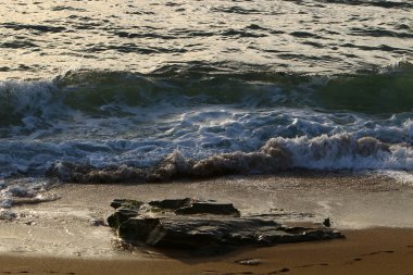 İsrail'in kuzeyinde Akdeniz kıyılarında taş ve kabukları 