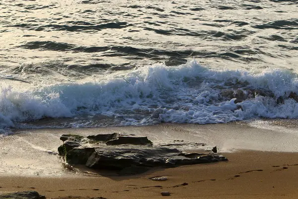 Pietre Conchiglie Sulle Rive Del Mar Mediterraneo Nel Nord Israele — Foto Stock