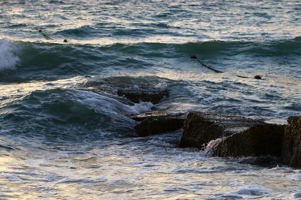 Steine Und Muscheln Den Ufern Des Mittelmeeres Norden Israels — Stockfoto