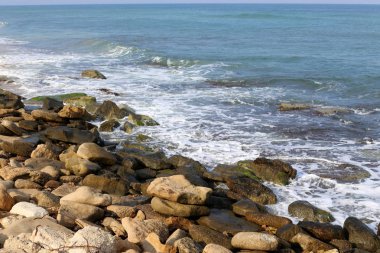 İsrail'in kuzeyinde Akdeniz kıyılarında taş ve kabukları 