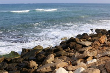 İsrail'in kuzeyinde Akdeniz kıyılarında taş ve kabukları 
