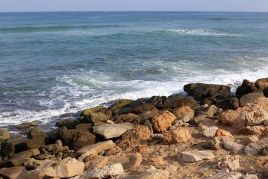 İsrail'in kuzeyinde Akdeniz kıyılarında taş ve kabukları 