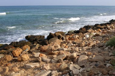 İsrail'in kuzeyinde Akdeniz kıyılarında taş ve kabukları 