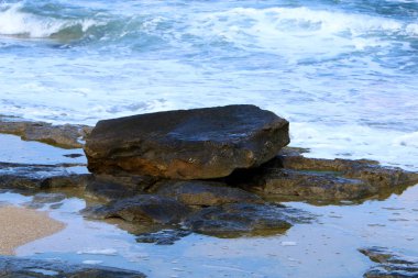 İsrail'in kuzeyinde Akdeniz kıyılarında taş ve kabukları 