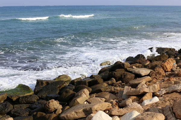 Pedras Conchas Nas Margens Mar Mediterrâneo Norte Israel — Fotografia de Stock