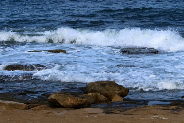 Pedras Conchas Nas Margens Mar Mediterrâneo Norte Israel — Fotografia de Stock