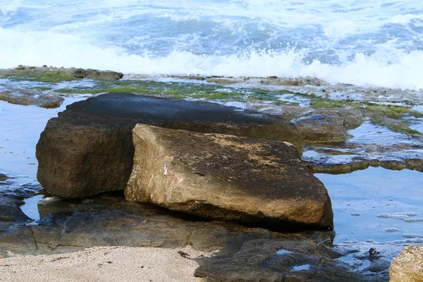 Srail Kuzeyinde Akdeniz Kıyılarında Taş Kabukları — Stok fotoğraf
