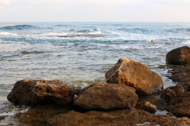 İsrail'in kuzeyinde Akdeniz kıyılarında taş ve kabukları 