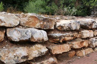 İsrail'in kuzeyinde Akdeniz kıyılarında taş ve kabukları 