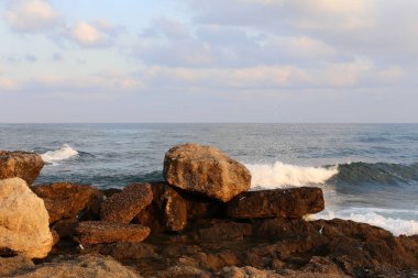 İsrail'in kuzeyinde Akdeniz kıyılarında taş ve kabukları 