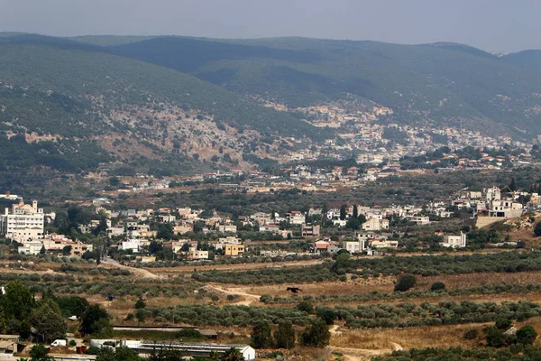 Photographies Plantes Fleurs Sur Été Chaud Sec Dans Nord Israël — Photo