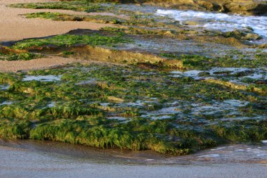 İsrail'de Akdeniz kıyılarında dağlarda taş ve kaya doku ve renk 