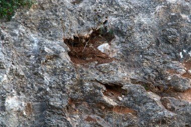 İsrail'de Akdeniz kıyılarında dağlarda taş ve kaya doku ve renk 