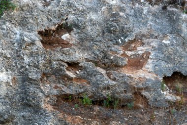 İsrail'de Akdeniz kıyılarında dağlarda taş ve kaya doku ve renk 
