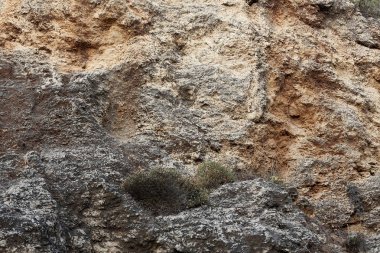 İsrail'de Akdeniz kıyılarında dağlarda taş ve kaya doku ve renk 