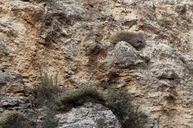 İsrail'de Akdeniz kıyılarında dağlarda taş ve kaya doku ve renk 