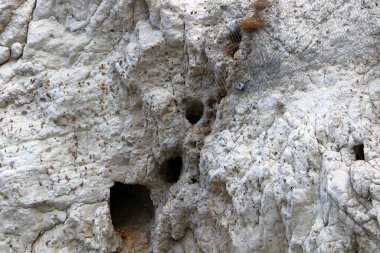 İsrail'de Akdeniz kıyılarında dağlarda taş ve kaya doku ve renk 