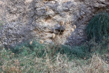 İsrail'de Akdeniz kıyılarında dağlarda taş ve kaya doku ve renk 