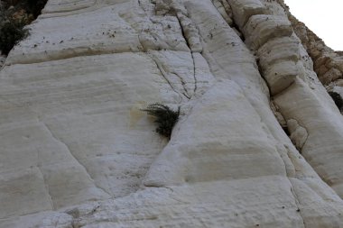 İsrail'de Akdeniz kıyılarında dağlarda taş ve kaya doku ve renk 