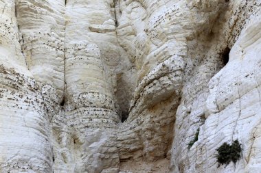 İsrail'de Akdeniz kıyılarında dağlarda taş ve kaya doku ve renk 
