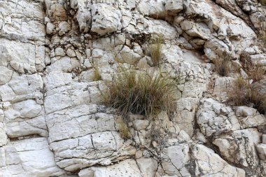 İsrail'de Akdeniz kıyılarında dağlarda taş ve kaya doku ve renk 