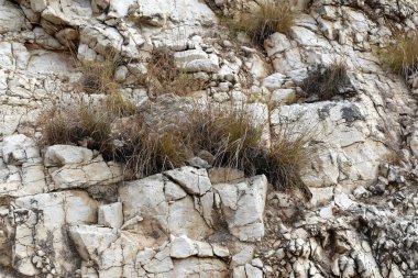 İsrail'de Akdeniz kıyılarında dağlarda taş ve kaya doku ve renk 