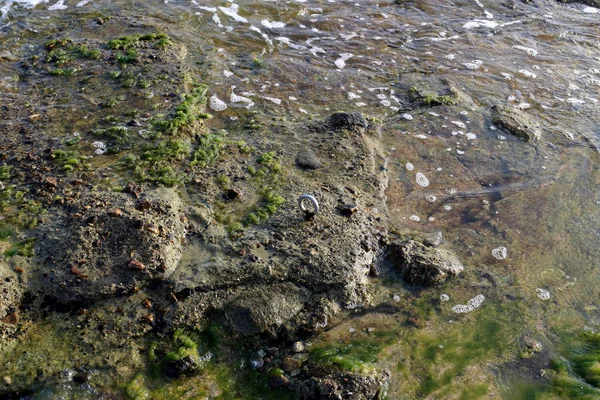 Textura Cor Pedra Rocha Nas Montanhas Nas Margens Mar Mediterrâneo — Fotografia de Stock